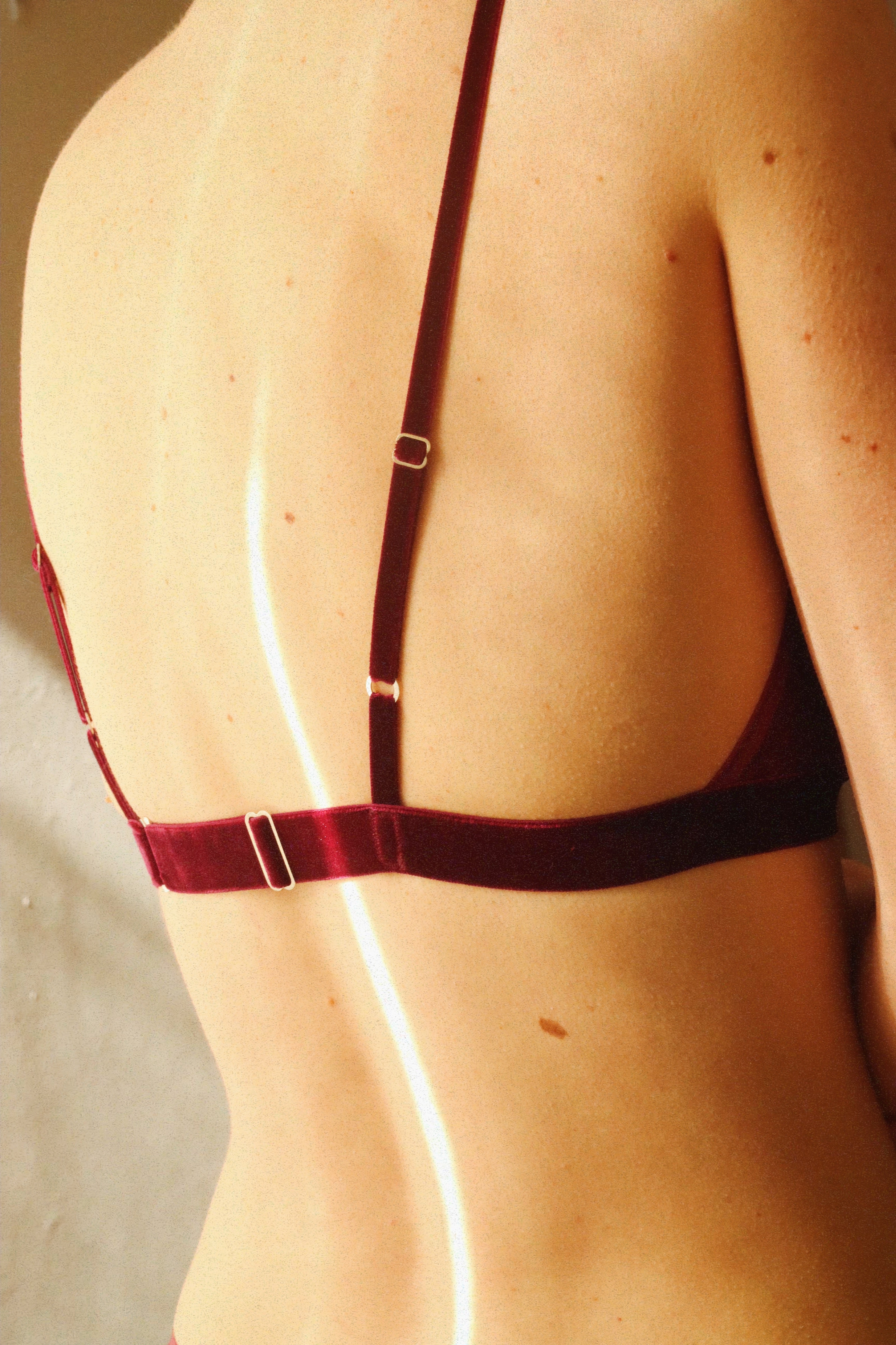 Iris bra Berry (new!)