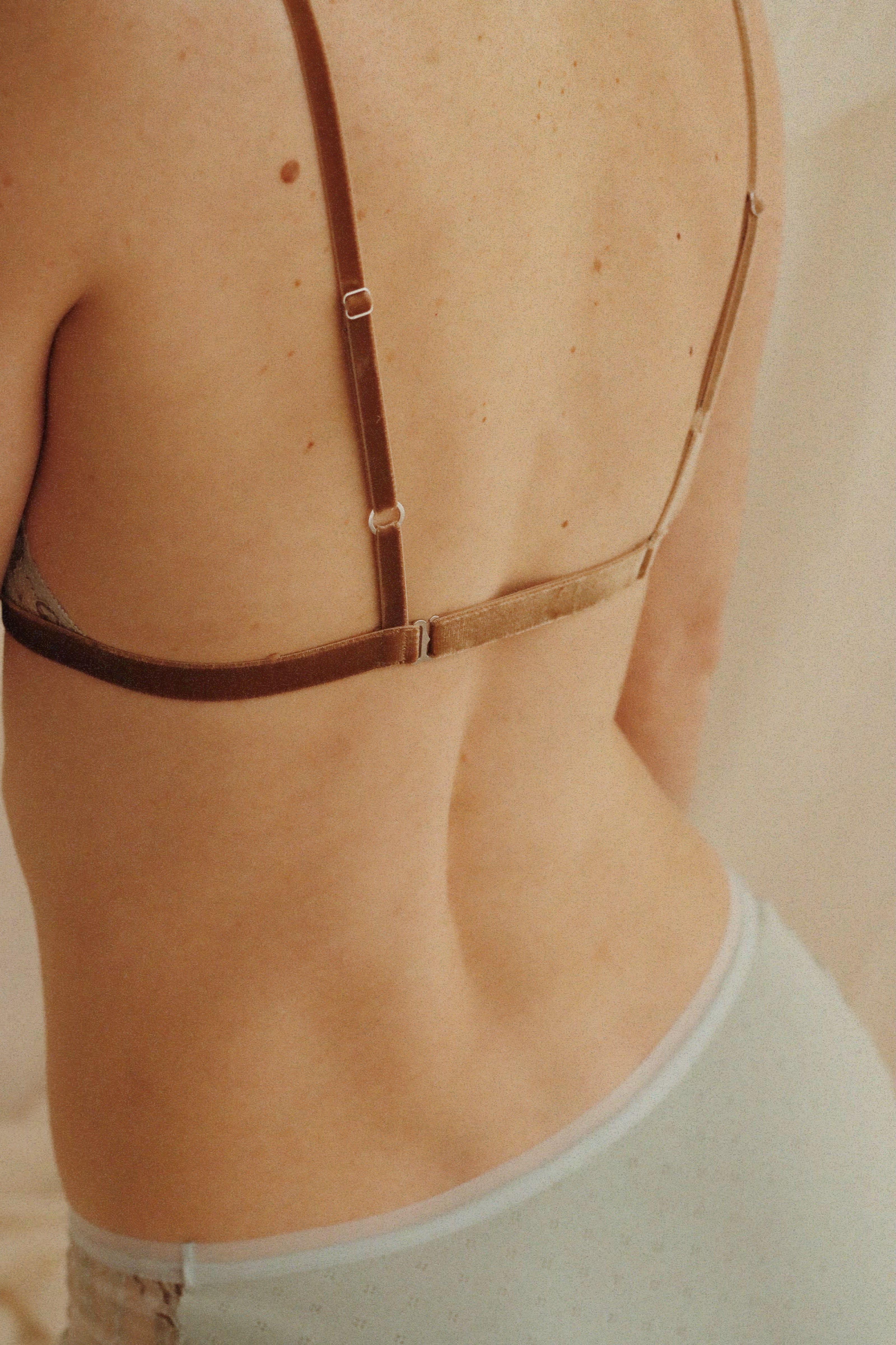 Harmony panties Venus (new!)